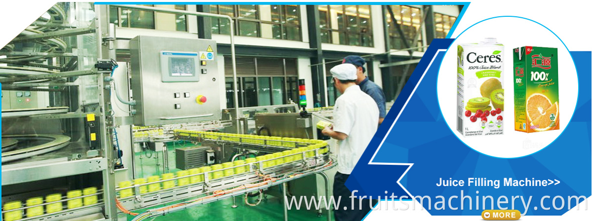 Electronic Intelligent Sorting Machine Fruits Grading Machine Sorting Machine